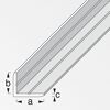 clampline Winkelprofil 200 cm