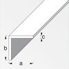 Aluwinkel Aluminium 50 x 50 x 2000 mm, 4 mm