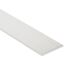 Flachstange Aluminium Inox 0,2 x 2,5 x 250 cm