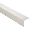 Winkelprofil Aluminium Inox 2500 x 25 x 25 mm