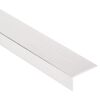 Winkelprofil Aluminium Inox 2500 x 20 x 10 mm