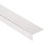 Winkelprofil Aluminium Inox 2500 x 20 x 10 mm