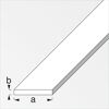 Flachstange Aluminium Inox 0,2 x 1,5 x 100 cm