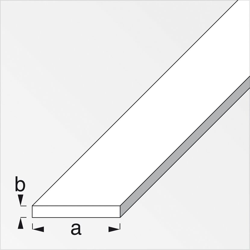 Flachstange Aluminium Inox 0,2 x 2,5 x 100 cm