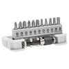 Bit-Set 'Professional' 6,3 mm (1/4") 12-teilig SL/TX/PZ/PH