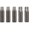 Bit-Set 'Basic Use' Torx 25 mm 5-teilig