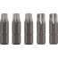 Bit-Set 'Basic Use' Torx 25 mm 5-teilig
