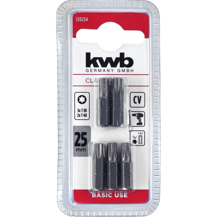 Bit-Set 'Basic Use' Torx 25 mm 5-teilig