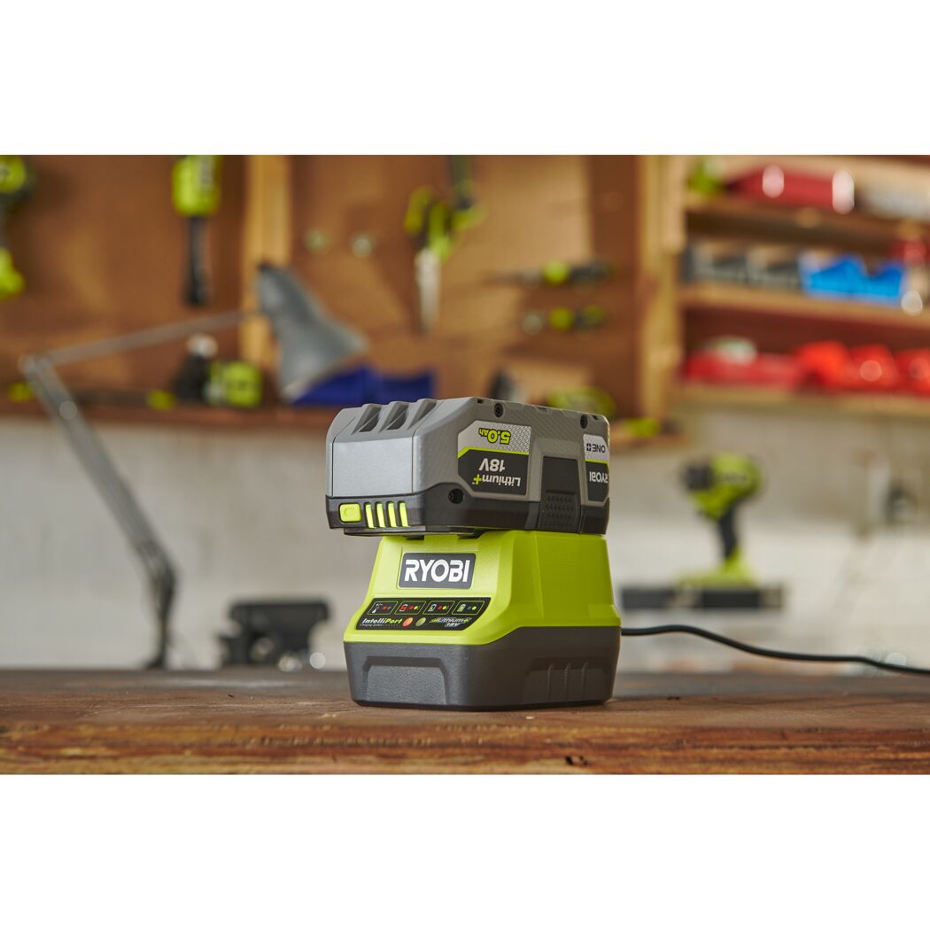 Ryobi Akku und Ladegerät
