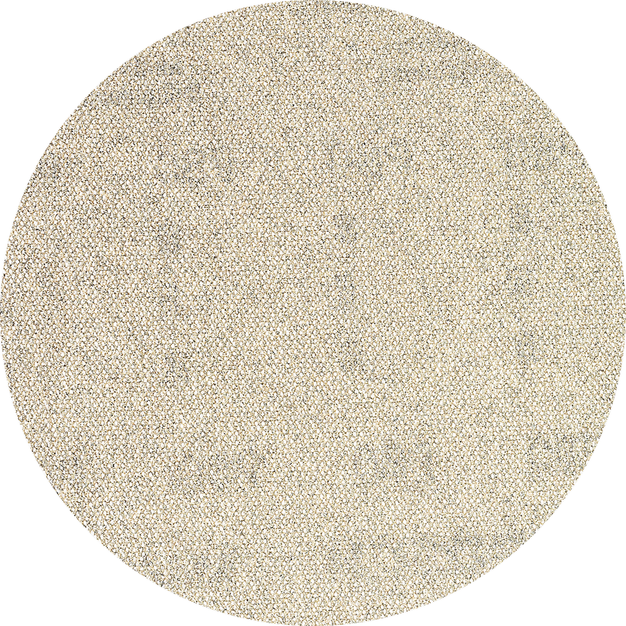 Exzenterschleifnetz 'Expert M480' Klett Ø 125 mm G 80, 50-teilig
