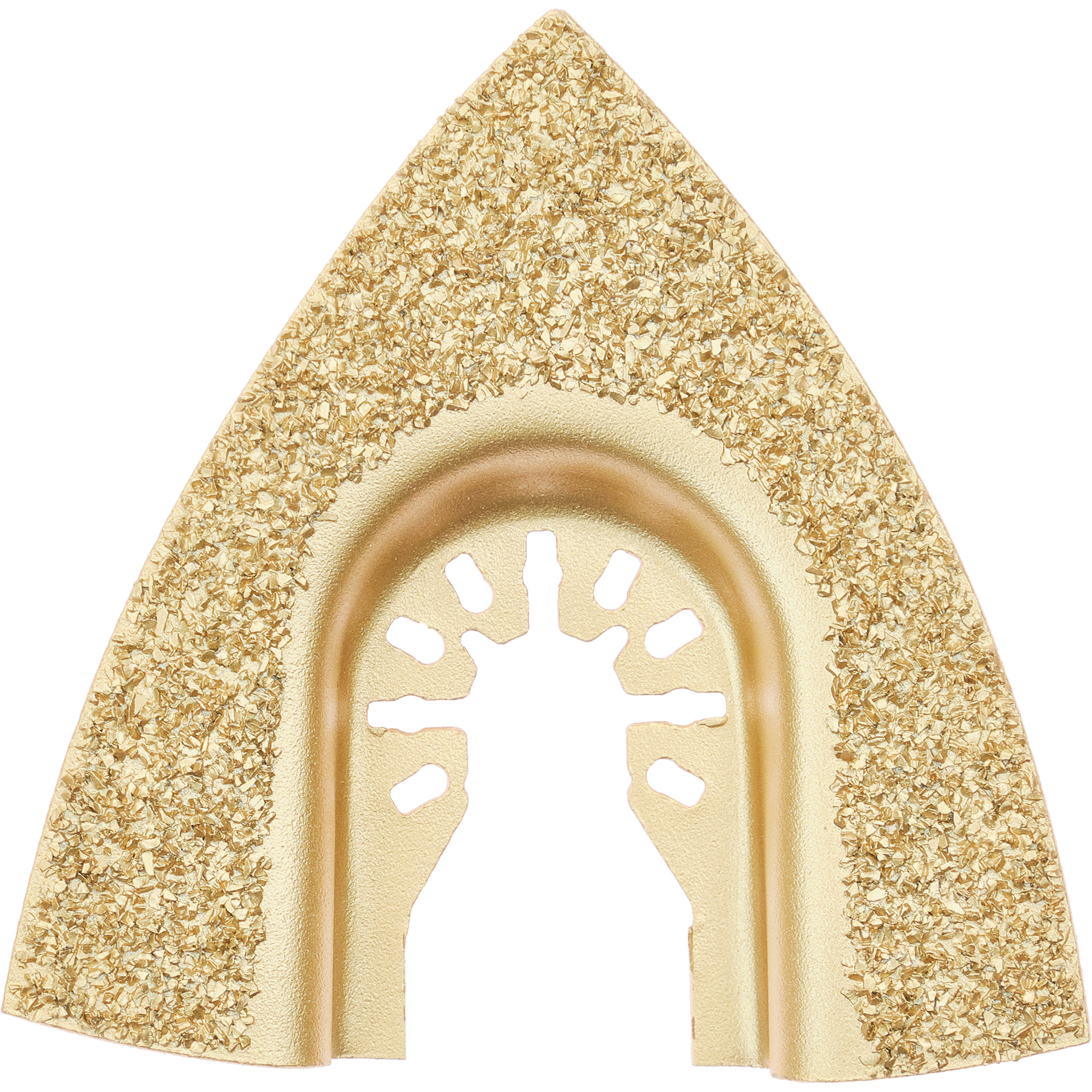 HM-Delta-Raspel Ø 80 x 1,2 mm