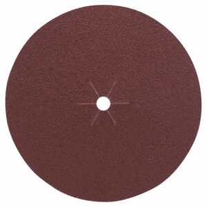Schleifblatt-Set gelocht Ø 12,5 cm G80 5 Stück