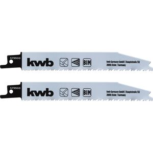 Säbelsägeblatt 'Easy Cut' BIM fein/grob 2 Stück