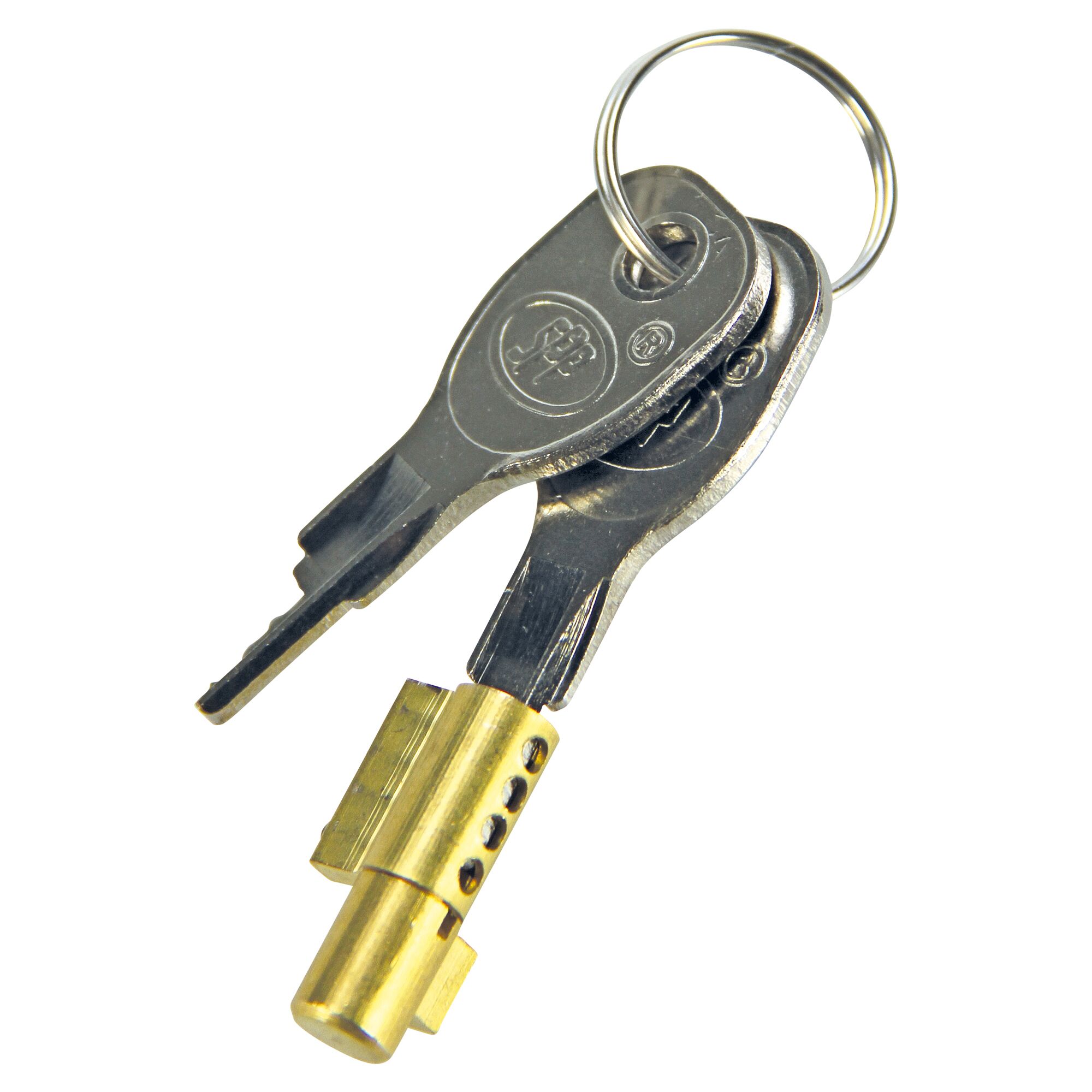 Zwei Schlüssel am Schlüsselring und ein Steckschloss