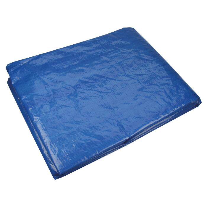 Cartrend Cartrend Abdeckplane blau 2 x 2 m