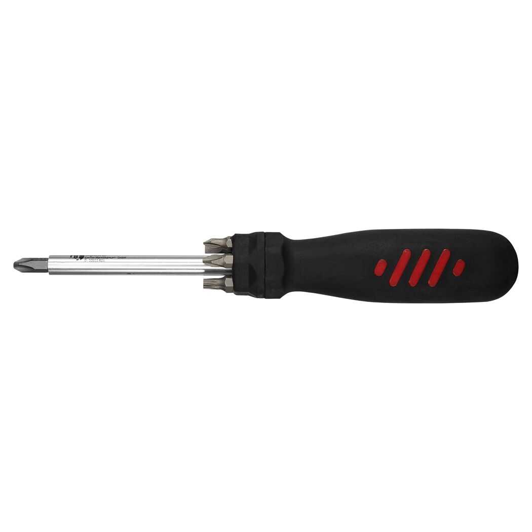 Bit-Schraubendreher mit mehreren Bits