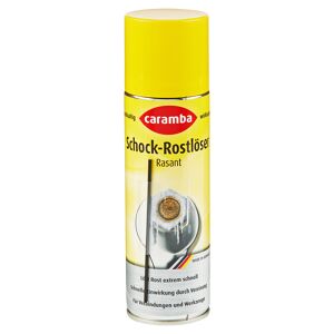 Schock-Rostlöser Rasant 250 ml