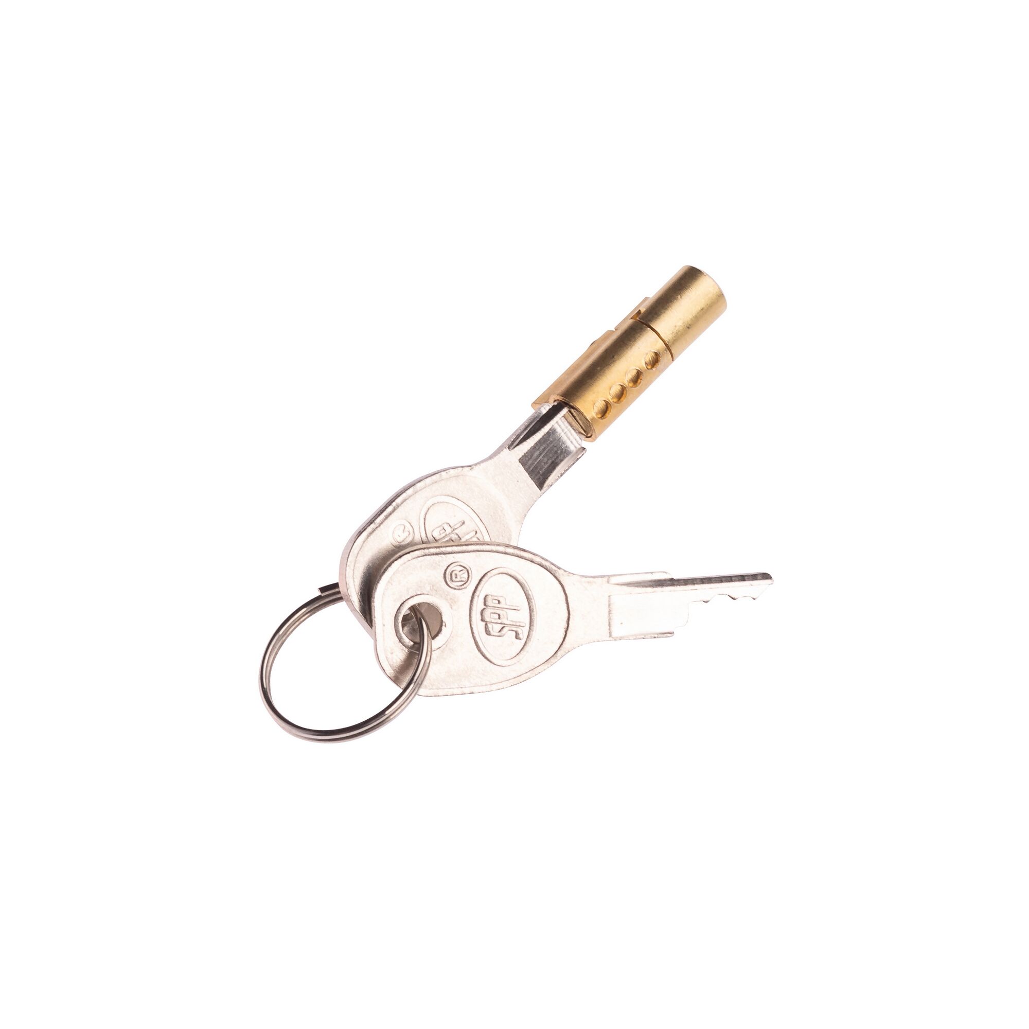 Zwei Schlüssel an einem Schlüsselring und ein Steckschloss