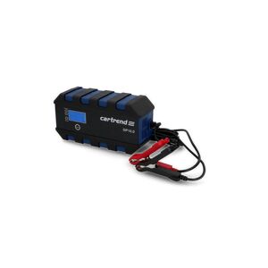 AEG Batteriepulser 1.0 Amps, Batteriepulser, BATTERIELADEGERÄTE, AEG  Automotive
