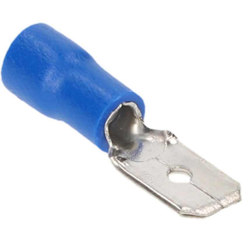 Blaue Flachsteckzunge