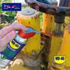 Hochleistungs-Schmierspray 'Specialist' 300 ml