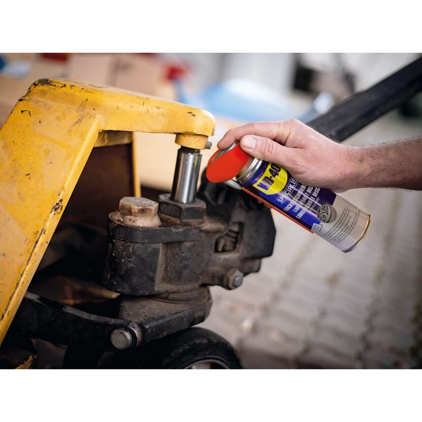 Trockenschmierspray 'Specialist' 300 ml