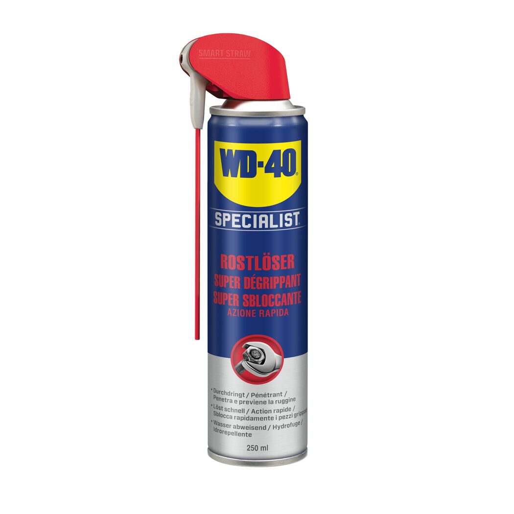 Rostlöser 'Specialist' 250 ml