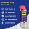Rostlöser 'Specialist' 250 ml