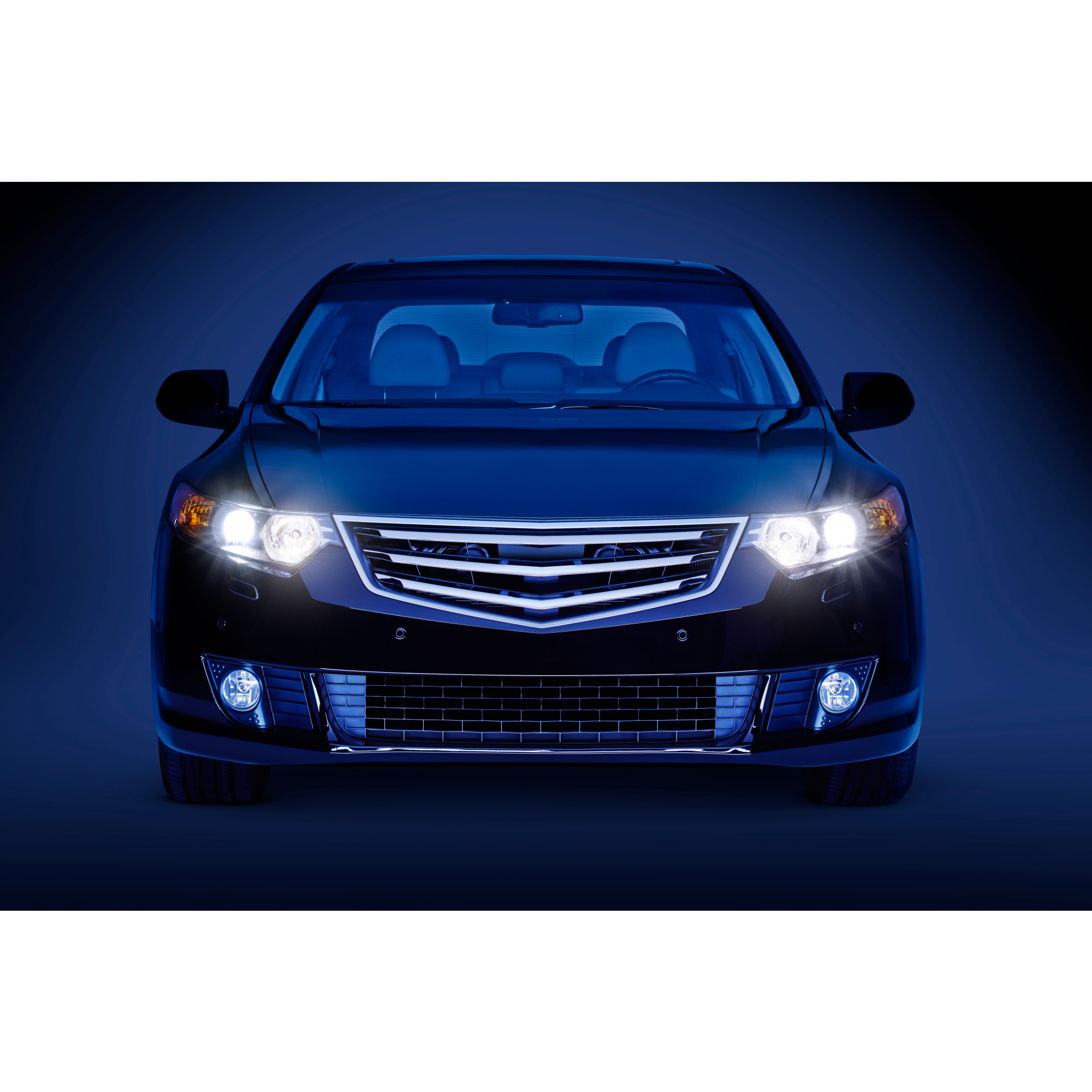 LED-Signalbeleuchtung für Fahrzeuge 'Ultinon Pro6000' W5W-LED