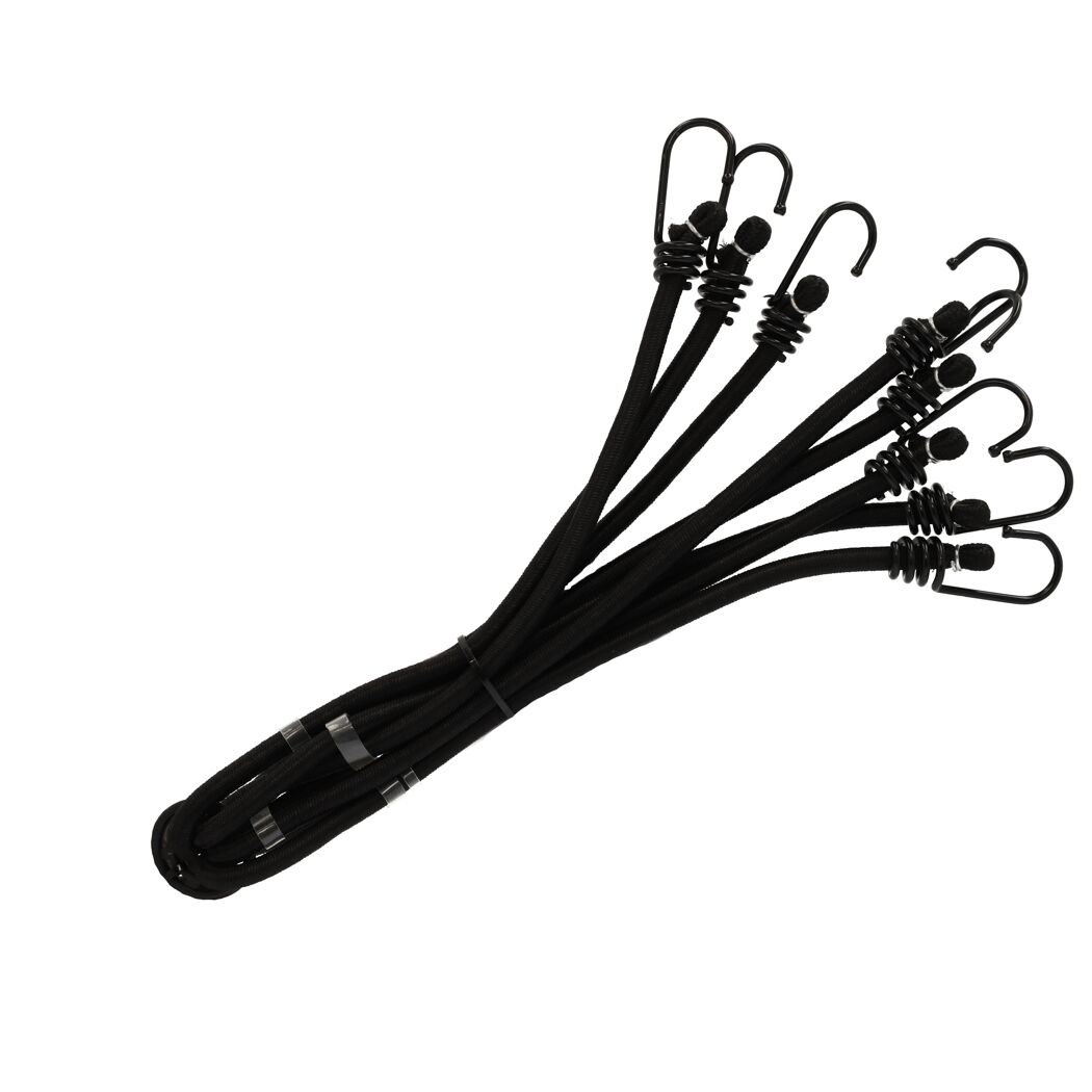 Schwarze Gepäckspinne mit acht Armen