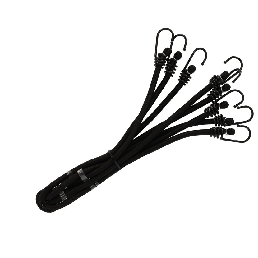Schwarze Gepäckspinne mit acht Armen