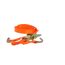 Oranger Spanngurt mit Ratsche und Haken