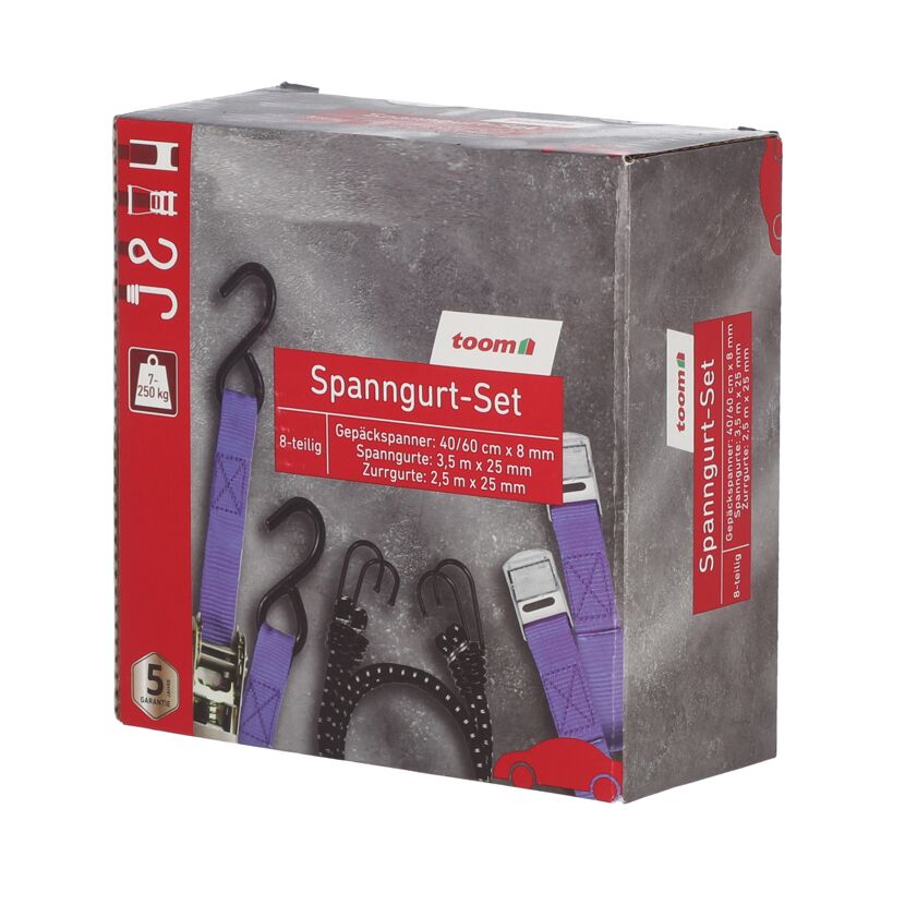 Lila Spanngurt-Set 8-teilig von toom