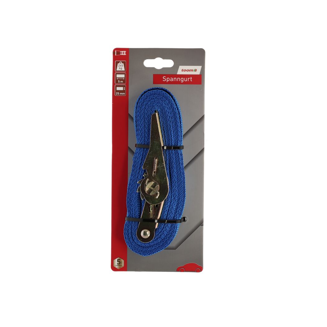 Blauer Spanngurt mit Ratsche, 5 m, 240 kg, von toom