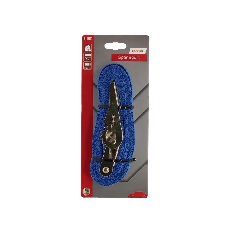 Blauer Spanngurt mit Ratsche, 5 m, 240 kg, von toom
