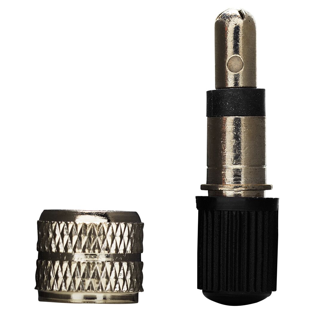Dunlop-Ventil mit Ventilkappe