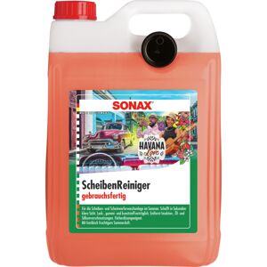 Scheibenreiniger 'HavanaLove' 5000 ml