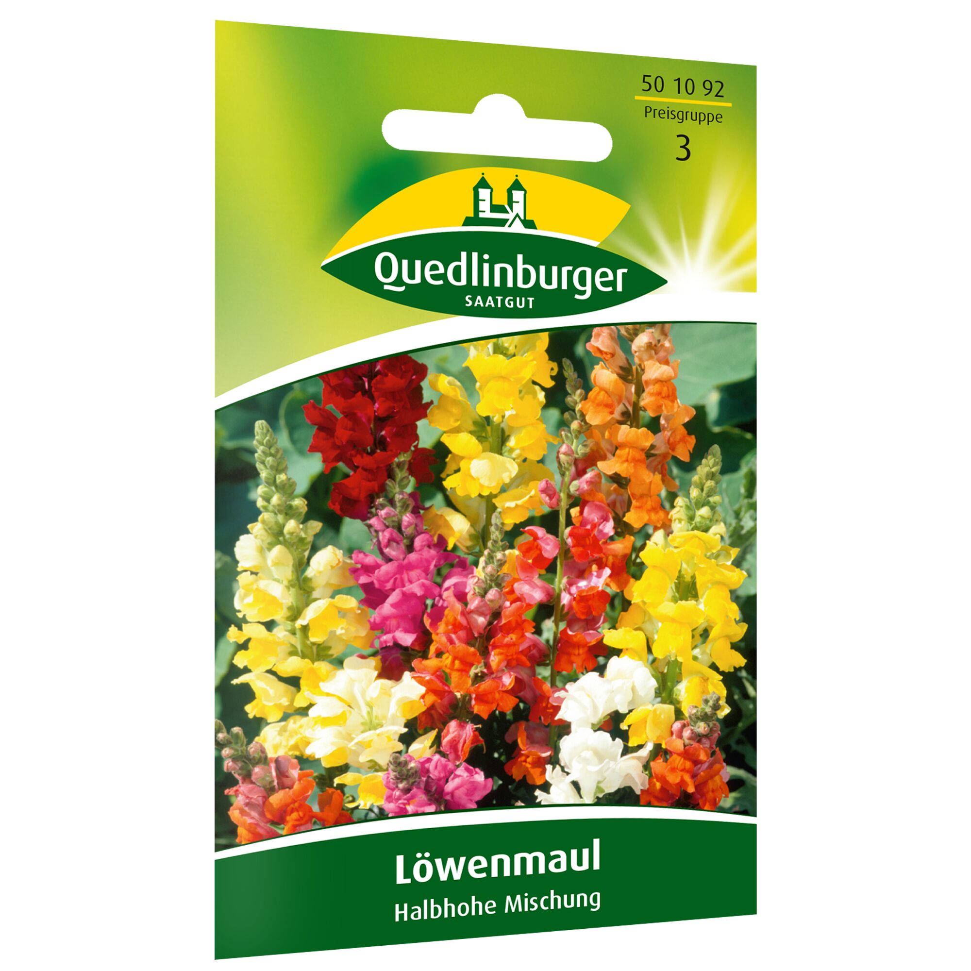 Löwenmaul Saatgut bunte Mischung