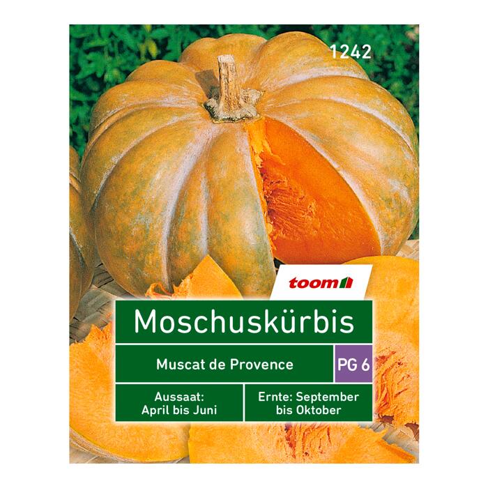 Toom Moschuskurbis Muscat De Provence Ç Toom Baumarkt