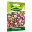 Mittagsblumen Mischung
