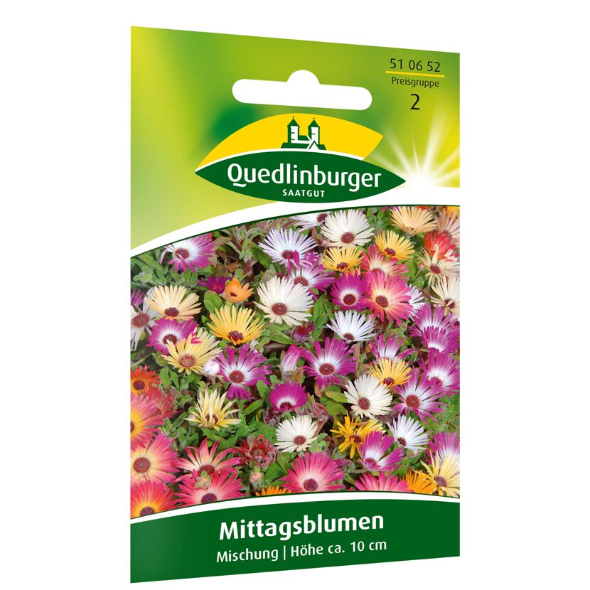 Mittagsblumen Mischung
