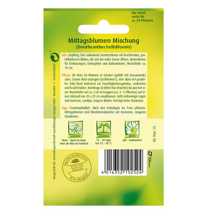 Mittagsblumen Mischung