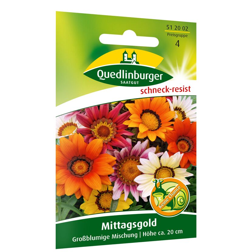 Mittagsgold großblumig, Mischung