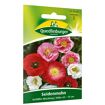 hauptbild