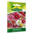 Papierblumen Saatgut Mischung