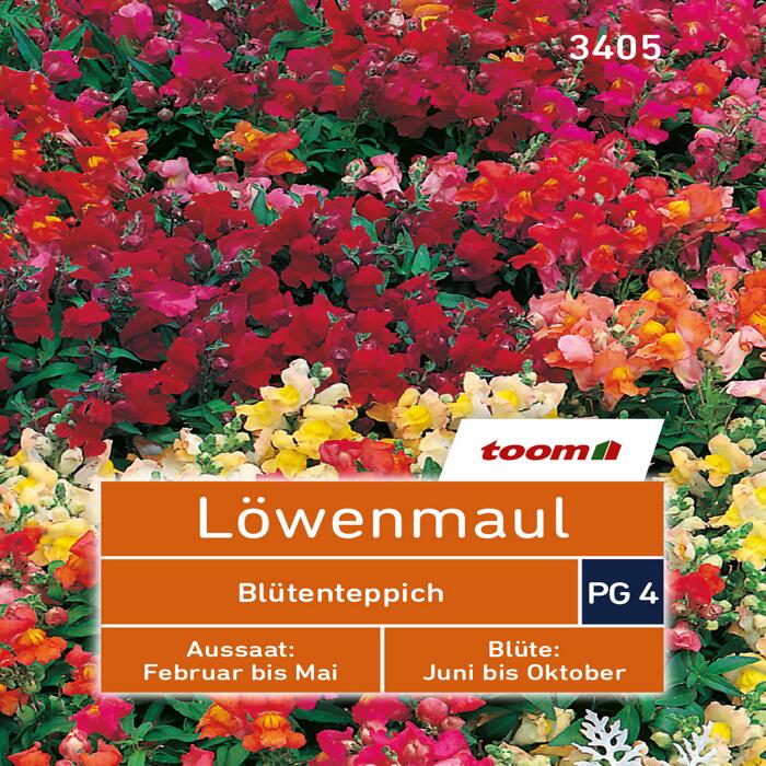 Toom Toom Lowenmaul Blutenteppich Ç€ Toom Baumarkt