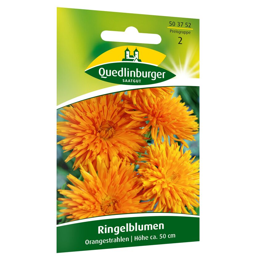 Ringelblumen 'Orangestrahlen'