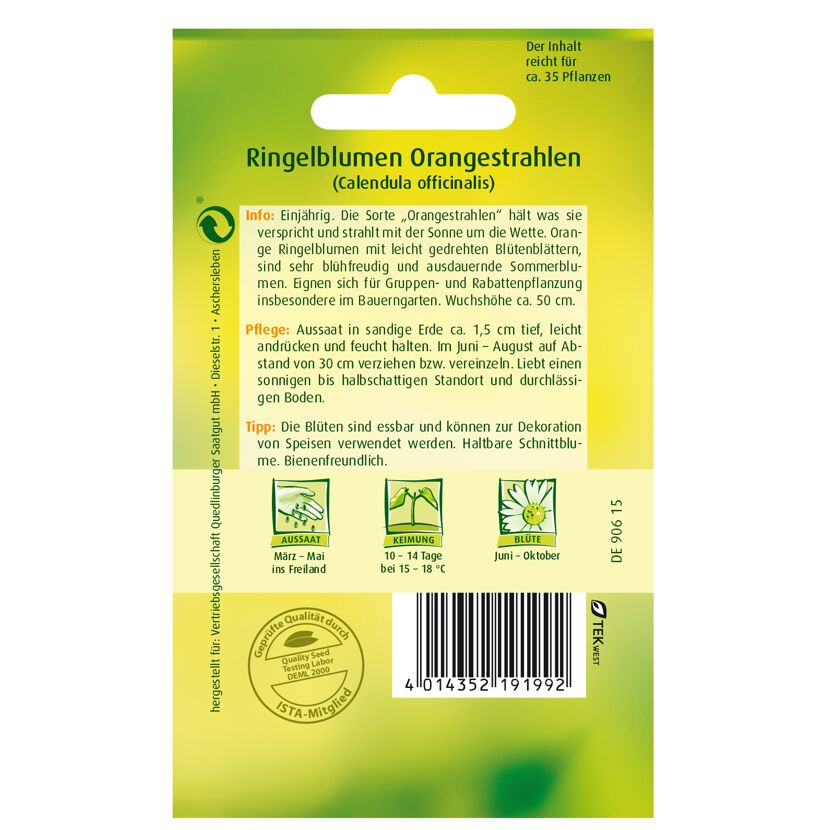 Ringelblumen 'Orangestrahlen'