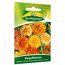 Ringelblumen 'Pazifik Schönheit'