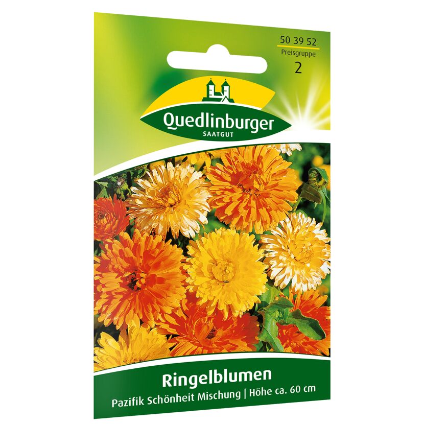 Ringelblumen 'Pazifik Schönheit'